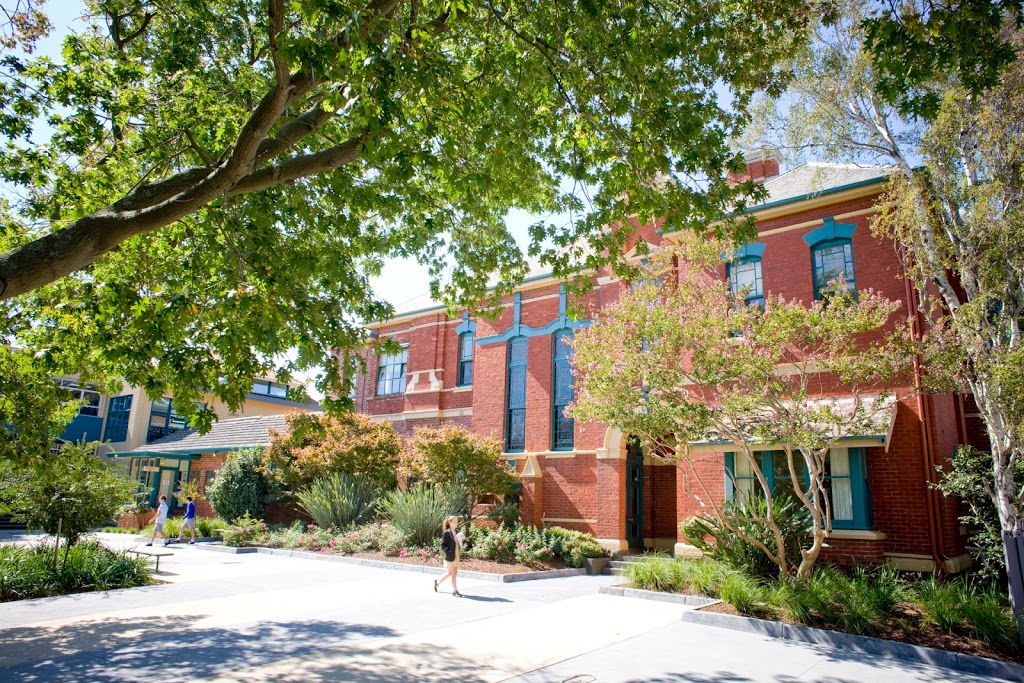 Carey Baptist Grammar School | school | 349 Barkers Rd, Kew VIC 3101, Australia | 0398161222 OR +61 3 9816 1222