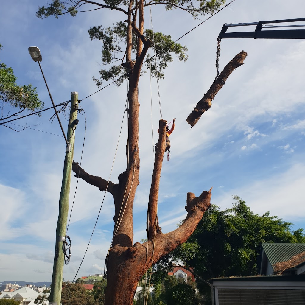 B & R Tree Services Brisbane North | 15 Calypso Ct, Eatons Hill QLD 4037, Australia | Phone: 0411 645 784