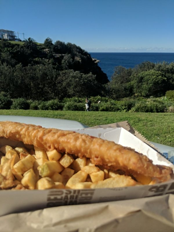 Vaucluse Ocean Food | meal takeaway | 669 Old South Head Rd, Vaucluse NSW 2030, Australia | 0293373082 OR +61 2 9337 3082