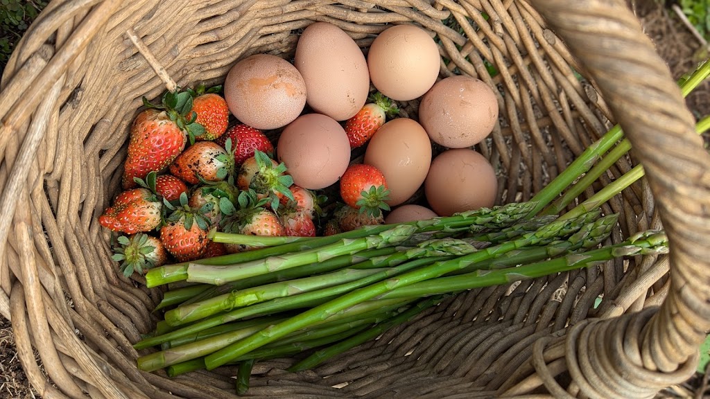 Ellias Garden | Farm Visits & Pick Your Own Produce | 1819 Tarome Rd, Moorang QLD 4340, Australia | Phone: 0491 100 661