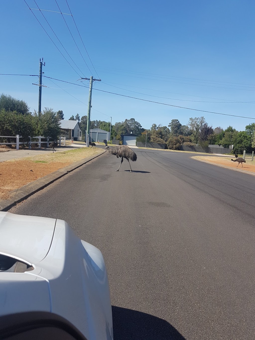 BP | gas station | 70 Warren Rd, Nannup WA 6275, Australia | 0897561194 OR +61 8 9756 1194