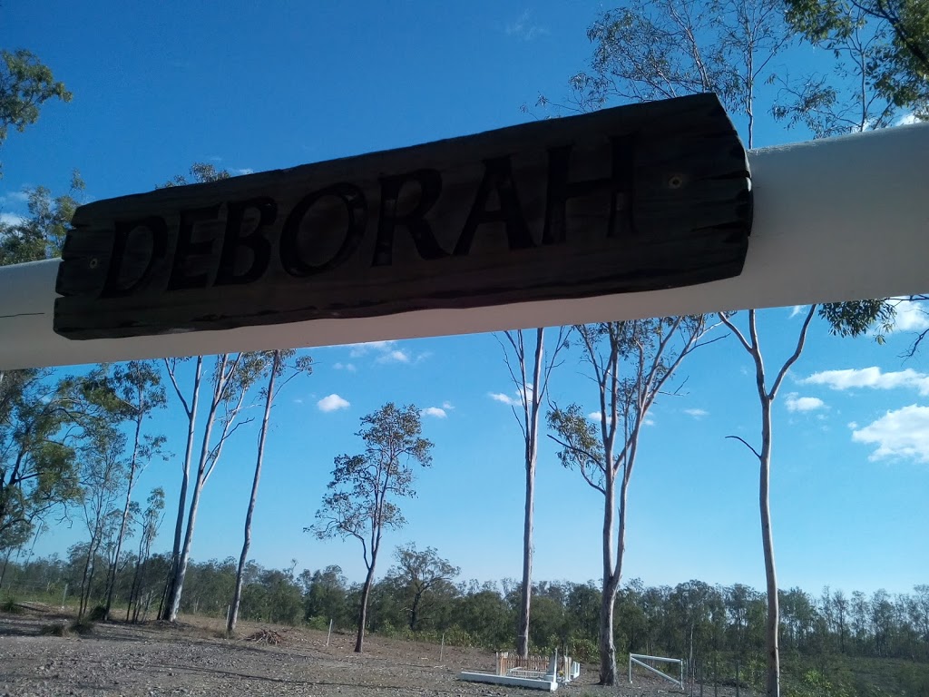 Deborah Cemetery | Deborah Rd, Netherby QLD 4650, Australia