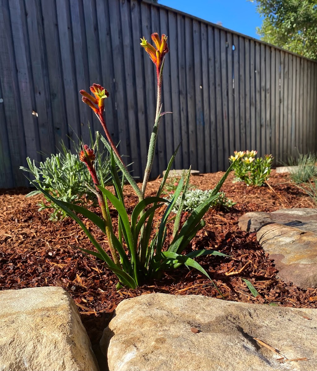 Street Appeal Garden Solutions | Bucklee Cres, Warners Bay NSW 2282, Australia | Phone: 0425 238 491