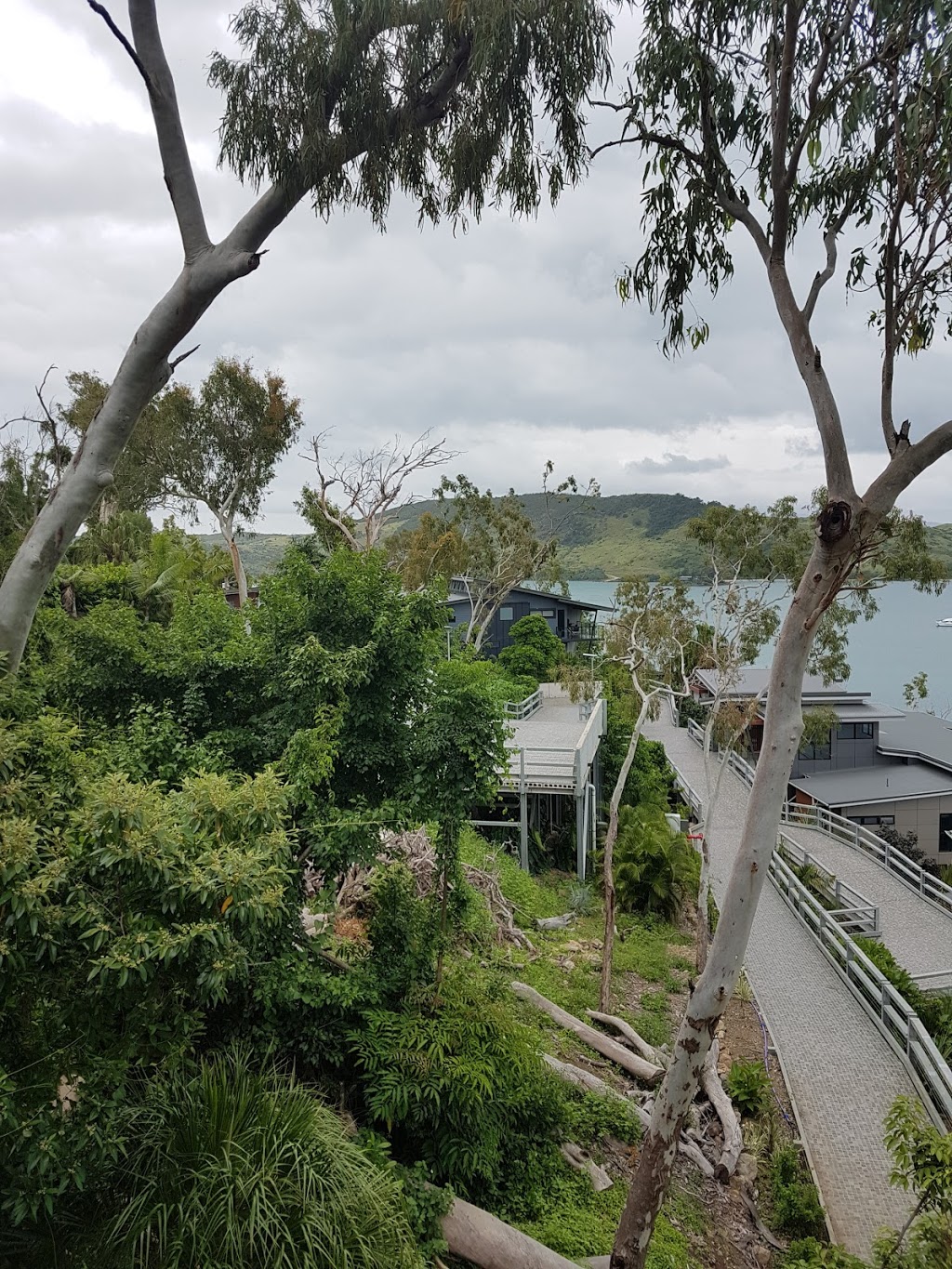 Panarama 1 | lodging | Acacia Dr, Hamilton Island QLD 4803, Australia