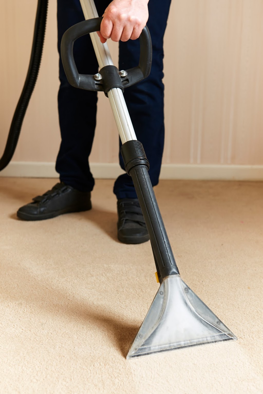 DT Carpet Cleaning Ascot Vale | laundry | Ascot Vale VIC 3032, Australia | 0488869610 OR +61 488 869 610