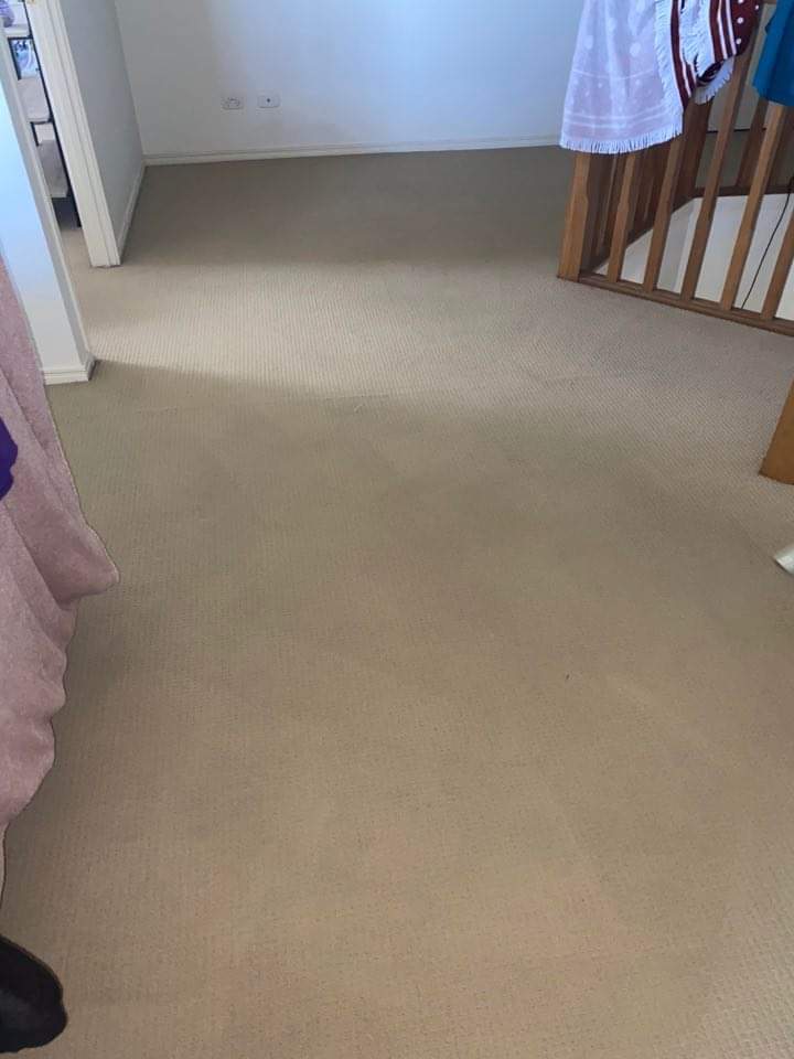 Coastlyfe Carpet Cleaning | 34 Homestead Dr, Little Mountain QLD 4551, Australia | Phone: 0437 216 283
