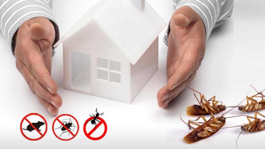 Pest Control Hornsby | funeral home | 17-29 Ashley St, Hornsby, NSW 2077, Australia | 0488849399 OR +61 488 849 399
