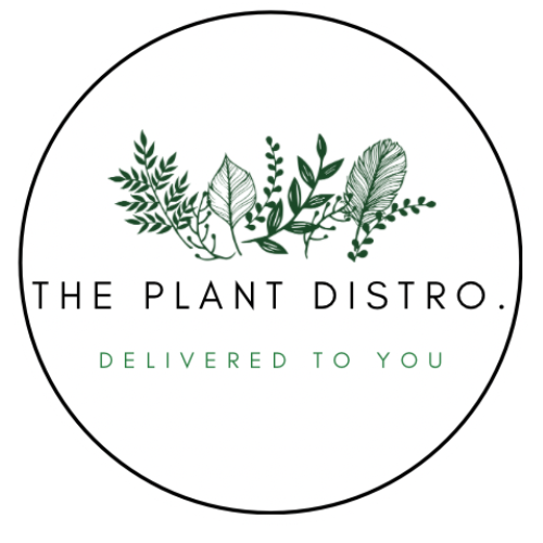 The Plant Distro. |  | 16 Appel St, Canungra QLD 4275, Australia | 0493526205 OR +61 493 526 205