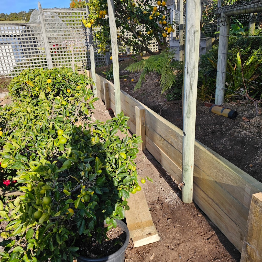 Bega Valley Civil & Landscaping | Red Gum Rd, Yellow Pinch NSW 2548, Australia | Phone: 0406 418 421