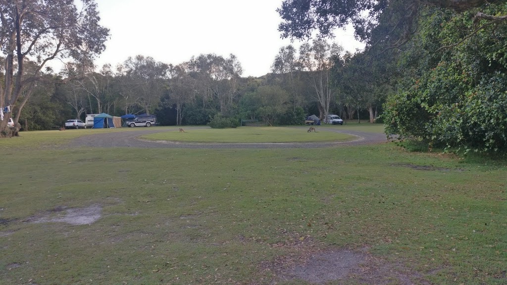 Hungry Gate campground | Hungry Campground Rd, Hat Head NSW 2440, Australia | Phone: (02) 6561 6700