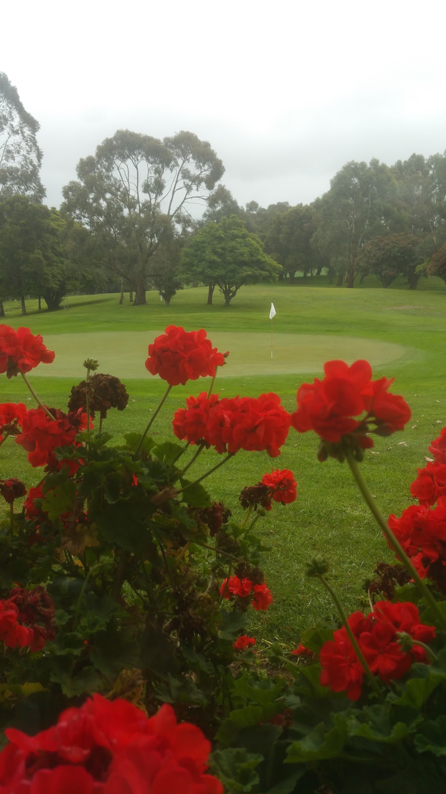 Woorayl Golf Club | Leongatha VIC 3953, Australia | Phone: (03) 5662 4187