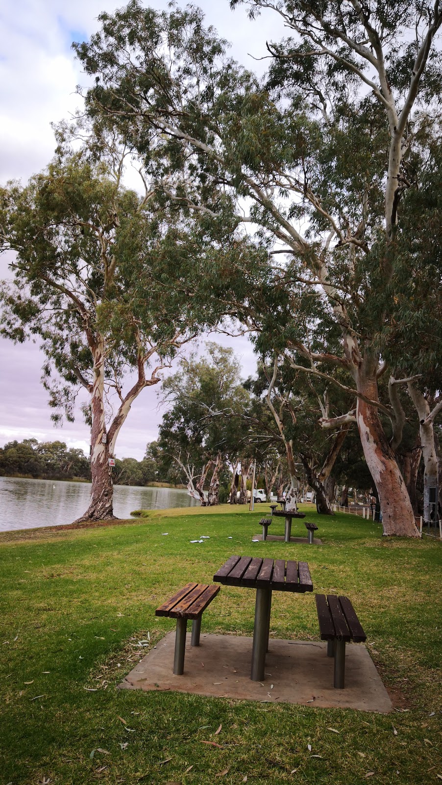 Martins Bend Reserve | park | Berri SA 5343, Australia