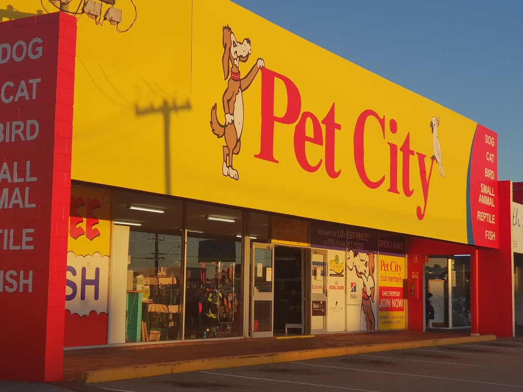 Pet City Balcatta | store | 1/77-87 Erindale Rd, Balcatta WA 6021, Australia | 0892407744 OR +61 8 9240 7744