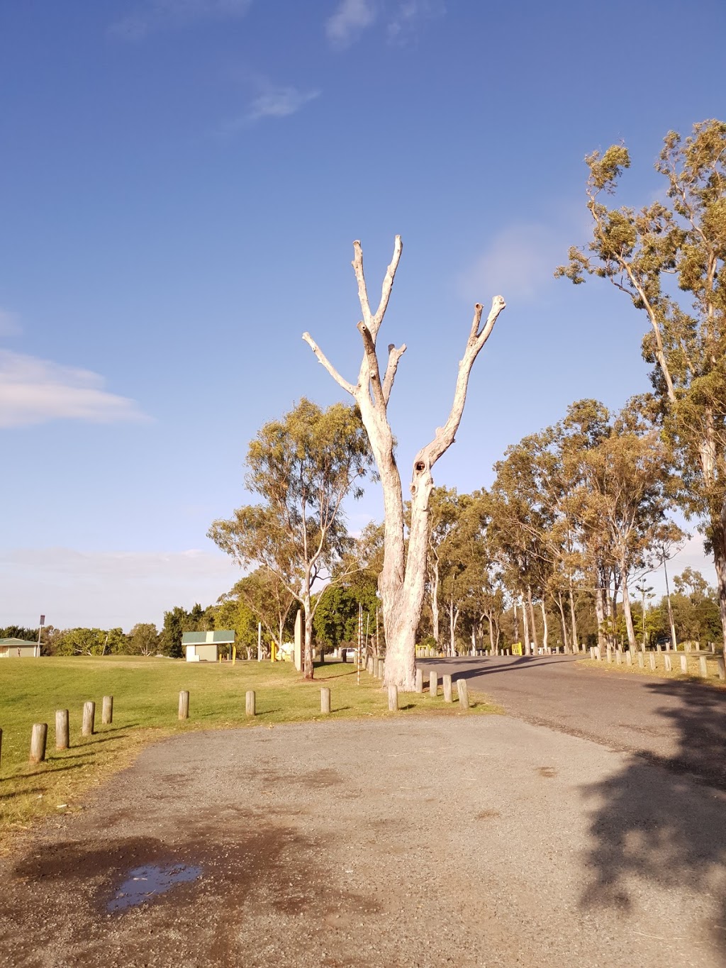 Murarrie Recreation Reserve | park | 1238 Wynnum Rd, Murarrie QLD 4172, Australia | 0734038888 OR +61 7 3403 8888