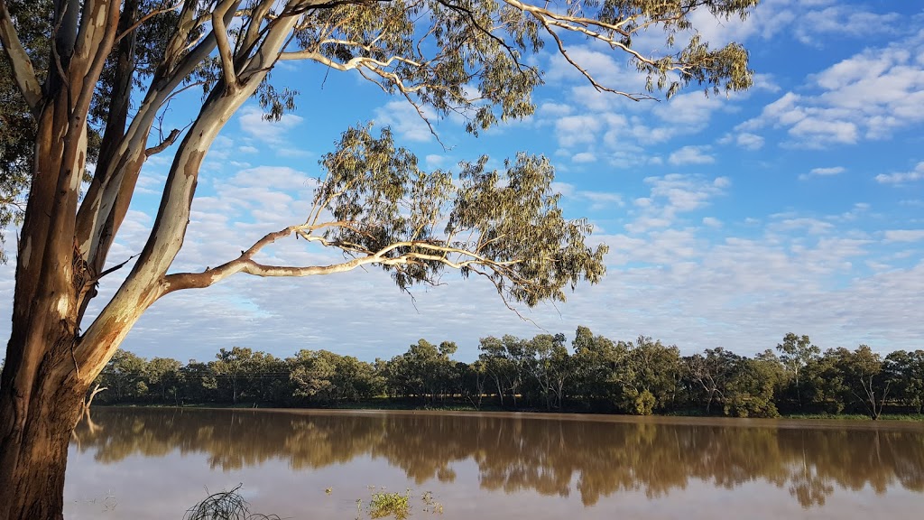 Jack Taylor Weir | Balonne River, St George QLD, St George QLD 4487, Australia | Phone: (07) 4620 8508