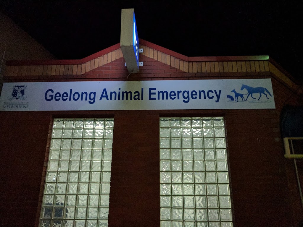 Geelong Animal Emergency | veterinary care | 102 Fyans St, South Geelong VIC 3220, Australia | 0352222139 OR +61 3 5222 2139