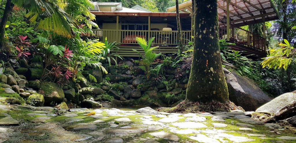 Daintree Secrets Rainforest Sanctuary | lodging | 61 Stonewood Rd, Diwan QLD 4873, Australia | 0409792922 OR +61 409 792 922