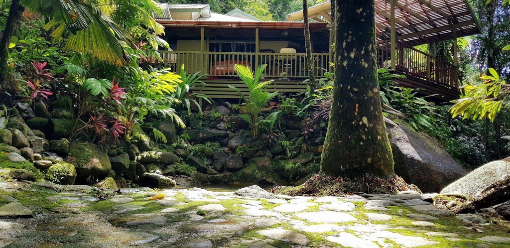 Daintree Secrets Rainforest Sanctuary | 61 Stonewood Rd, Diwan QLD 4873, Australia | Phone: 0409 792 922