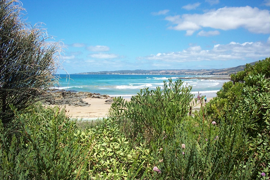 SKENES CREEK BEACHFRONT PARK | rv park | 2 Great Ocean Rd, Skenes Creek VIC 3233, Australia | 0352376132 OR +61 3 5237 6132