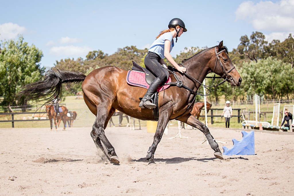 DARWIN PARK EQUESTRIAN | 22 Mountain Flat Rd, Narre Warren East VIC 3804, Australia | Phone: 0419 865 051