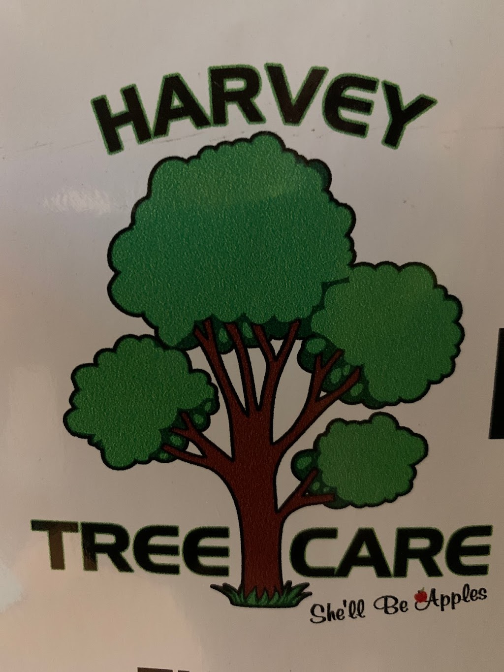 Harvey Tree Care | 2 Zappia Rd, Warawarrup WA 6220, Australia | Phone: 0408 315 653