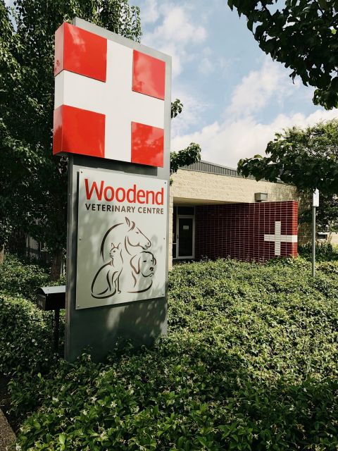 Woodend Veterinary Centre | veterinary care | 25 Brooke St, Woodend VIC 3442, Australia | 0354279200 OR +61 3 5427 9200