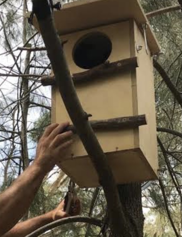 Steves termite & pest control Penrith | 10 Fawkener Pl, Werrington County NSW 2747, Australia | Phone: 0478 016 222