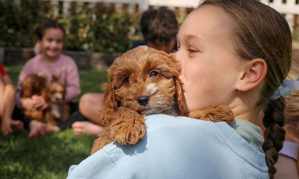 Puppy Yoga Melbourne | 54 Greens Rd, Strathtulloh VIC 3338, Australia | Phone: (03) 9531 4000