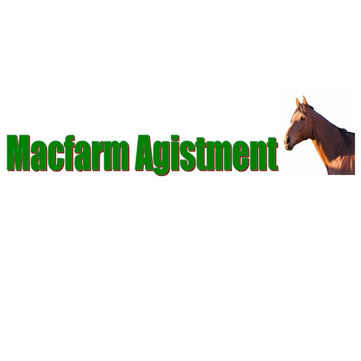 Macfarm Agistment | 115 Natalie Rd, Buccan QLD 4207, Australia | Phone: 0407 525 527