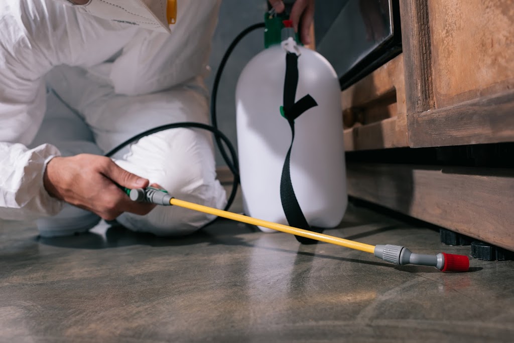 ✅ Pest Control Warburton ?PestHeat Control Doctor? Termite, Ant, Cockroach, Rodent Removal Treatment | 3 Horners Rd, Warburton VIC 3799, Australia | Phone: (03) 8797 2030