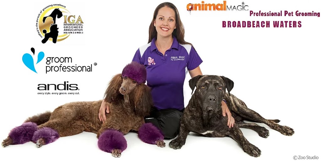 Animal Magic Pet Grooming | 49 Cypress Dr, Broadbeach Waters QLD 4218, Australia | Phone: (07) 5575 2200