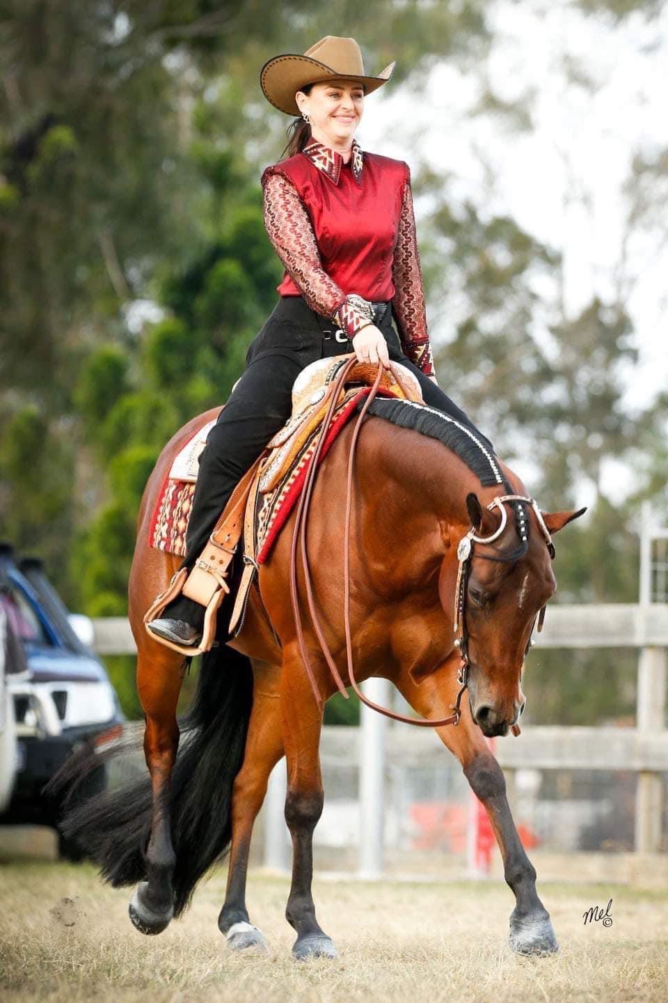 Boutique Show Horses | 251 Spring Flat S Ln, Spring Flat NSW 2850, Australia | Phone: 0428 550 615