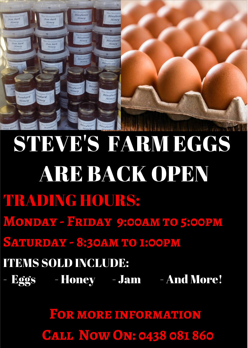 Steve Fresh Farm Eggs | food | 25 King St, Rossmore NSW 2557, Australia | 0438081860 OR +61 438 081 860