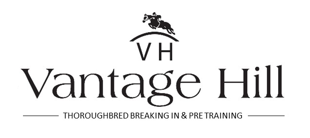 Vantage Hill |  | 427 Middlebrook Rd, Scone NSW 2337, Australia | 0427225352 OR +61 427 225 352