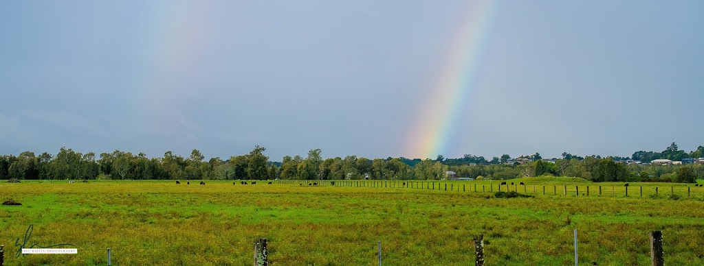 Understanding the Bubble | Wattle Tree Rd, Holgate NSW 2250, Australia | Phone: 0428 485 002