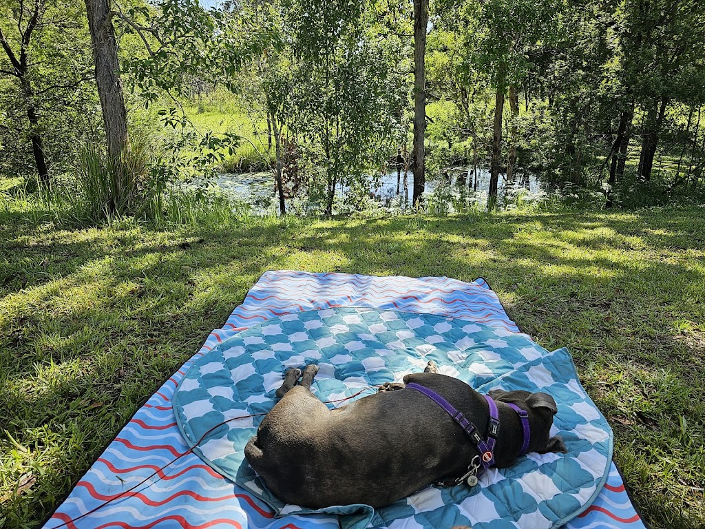 GingerNut Farm | 109 Atkins Rd, Cawongla NSW 2474, Australia | Phone: 0435 007 555