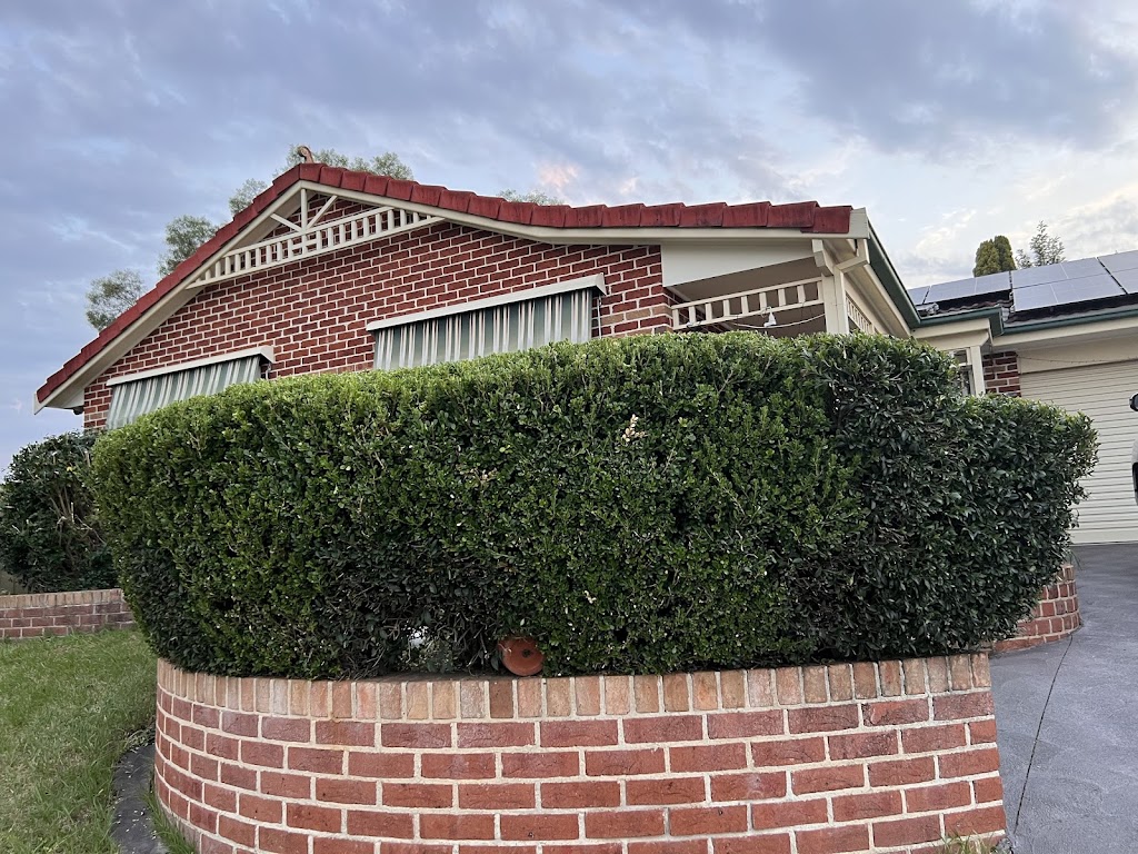 Mr Mower and removal services | 22 Tamborine Dr, Minto NSW 2566, Australia | Phone: 0420 272 114