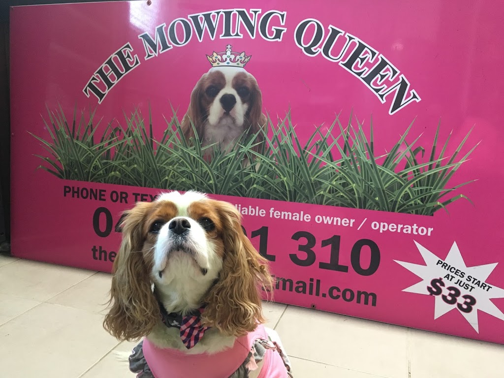 The Mowing Queen | 56 Bridge St, Schofields NSW 2762, Australia | Phone: 0418 491 310