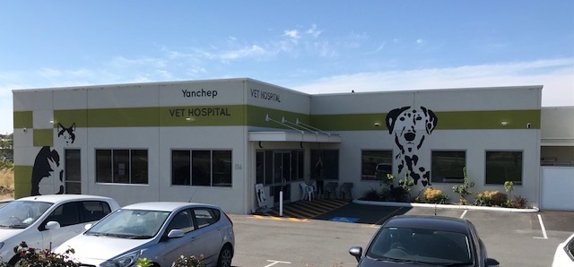 Yanchep Veterinary Hospital | veterinary care | 156 Yanchep Beach Rd, Yanchep WA 6035, Australia | 0895612438 OR +61 8 9561 2438