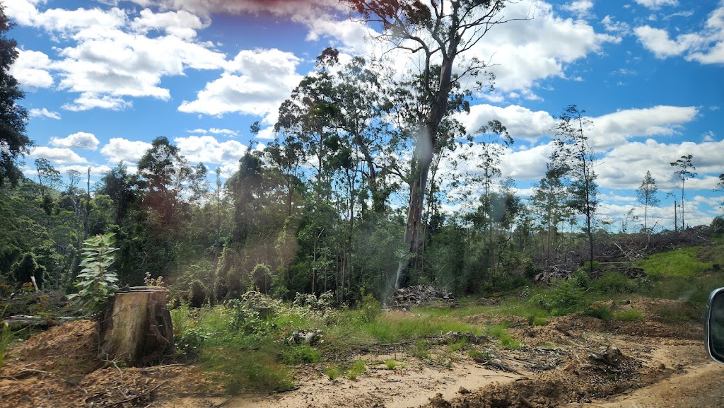 Olney State Forest | Olney NSW 2325, Australia | Phone: (02) 9872 0111