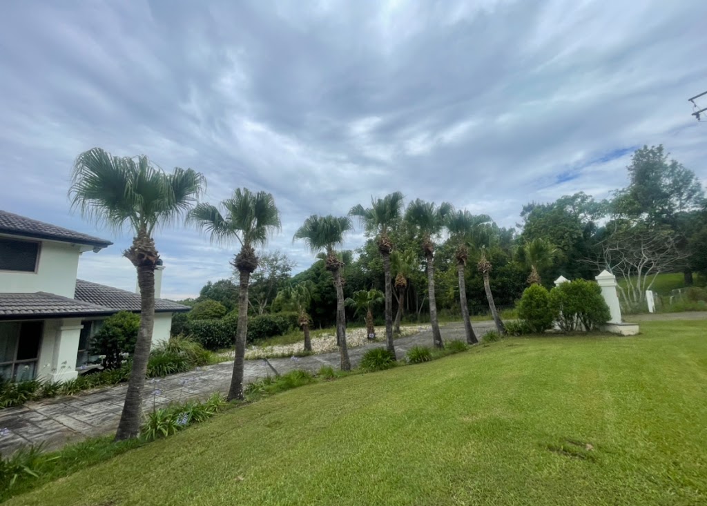 Pacific Tree Services | 31B Alexander Ln, Eltham NSW 2480, Australia | Phone: 0448 954 559