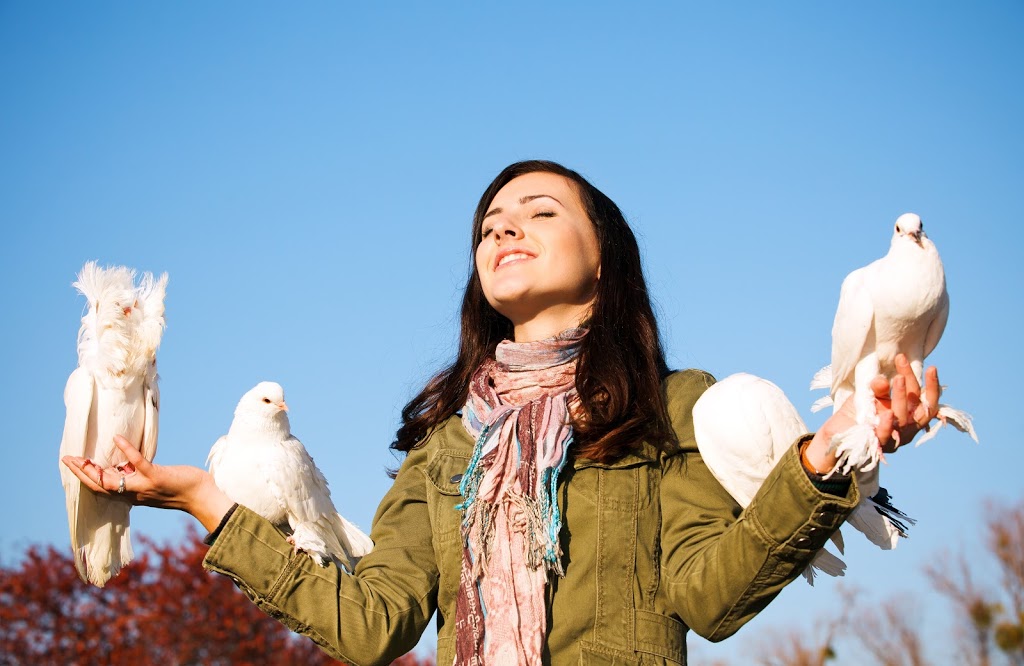 White Dove Release Melbourne |  | Affordable White Dove Release all across Melbourne metro area and Victoria. Please see www.WhiteDoveRelease.com.au, 30 Gosfield Rd, Hurstbridge VIC 3099, Australia | 0472749610 OR +61 472 749 610