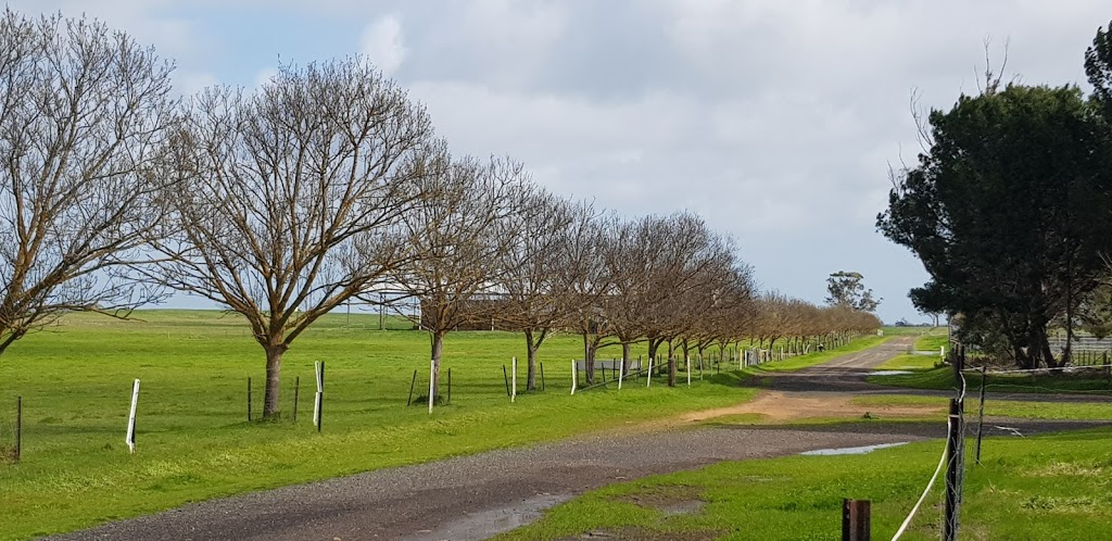 Allenmore Stud. Riding Ponies & Thoroughbreds | food | Yarrock Rd, Kaniva VIC 3419, Australia | 0353922551 OR +61 3 5392 2551