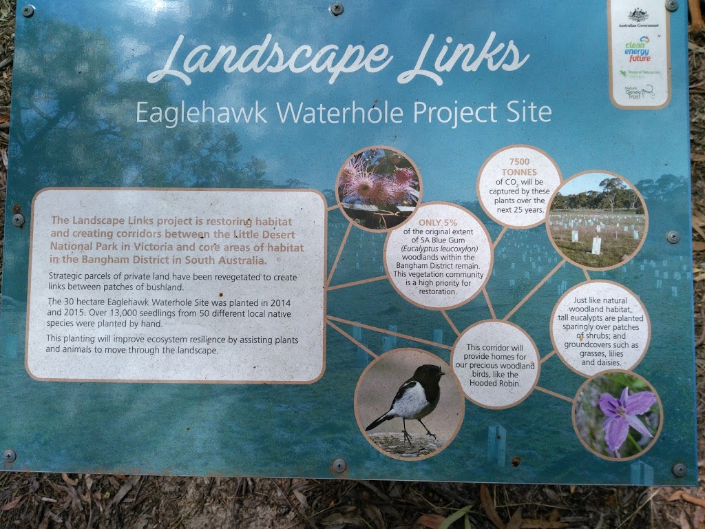 Eaglehawk Waterhole | park | Frances Rd, Bangham SA 5268, Australia