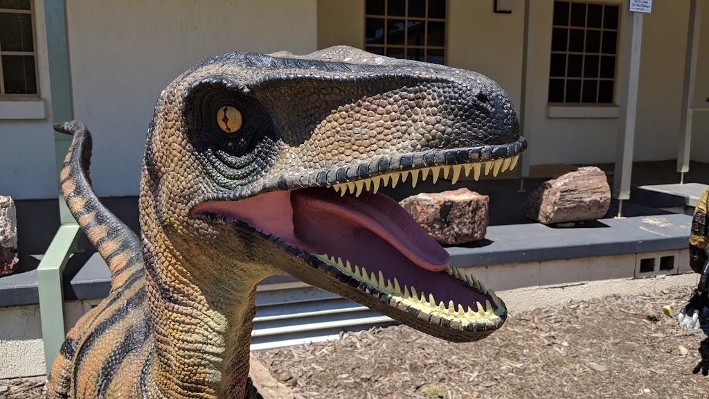 National Dinosaur Museum | museum | 6 Gold Creek Rd, Nicholls ACT 2913, Australia | 0262302655 OR +61 2 6230 2655