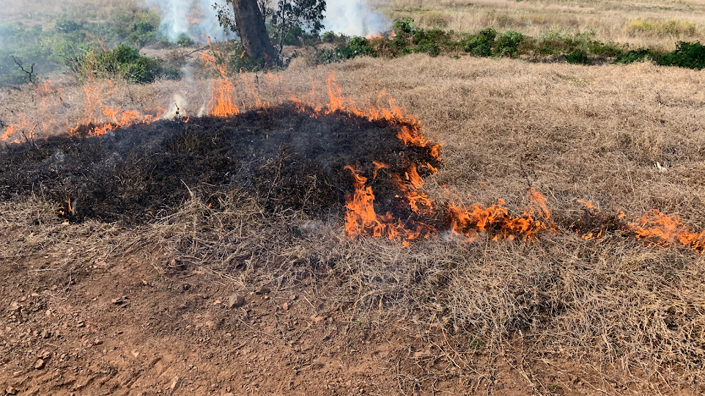 Land and Fire Pty Ltd | 1 Crossandra Cl, Cranebrook NSW 2749, Australia | Phone: 0487 300 970