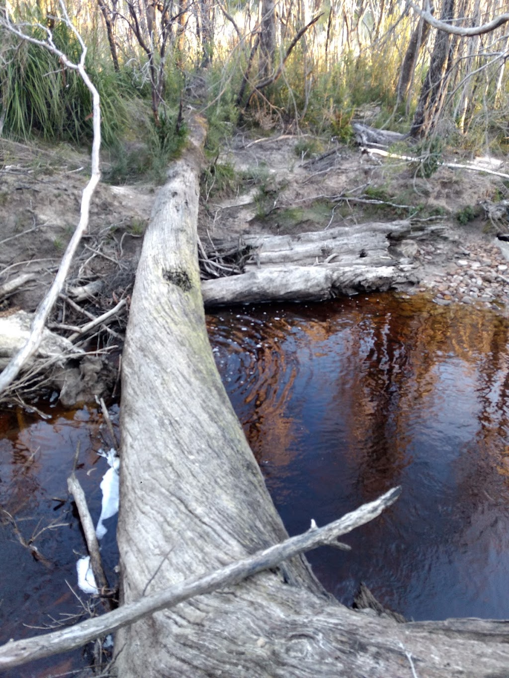Wedge River Picnic Area | Southwest TAS 7139, Australia