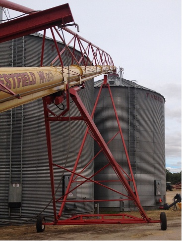 TAP AgriCo Stockfeeds (Tasmanian Agricultural Producers Pty Ltd) | storage | 135 Powranna Rd, Powranna TAS 7300, Australia | 0363986122 OR +61 3 6398 6122