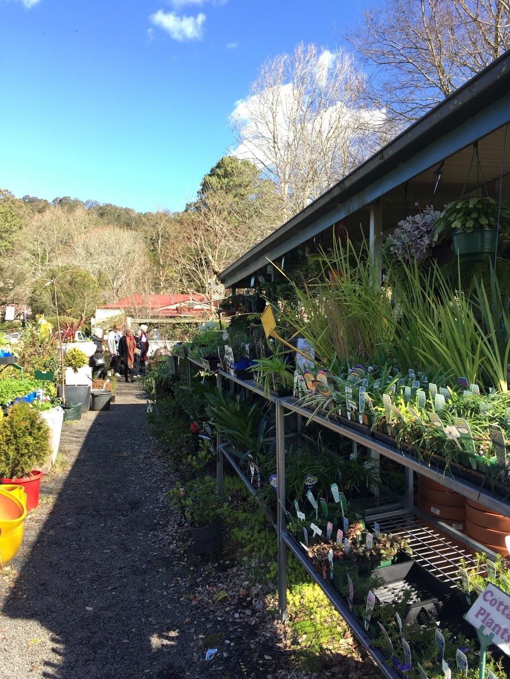 The Village Green Nursery | 165a Moss Vale Rd, Kangaroo Valley NSW 2577, Australia | Phone: (02) 4465 1533