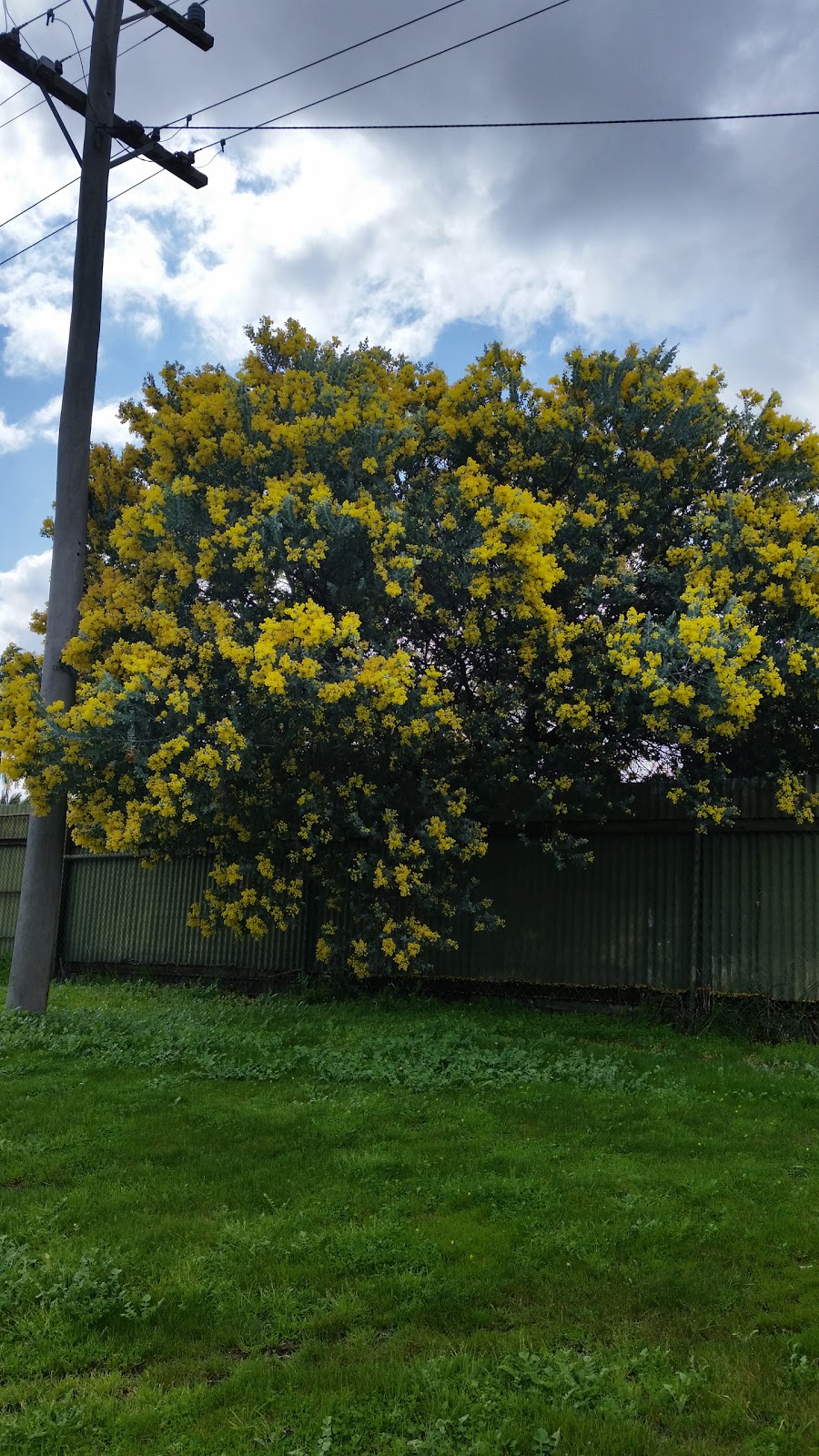 Barooga Botanic Gardens | Botanic Gardens, Barooga NSW 3644, Australia